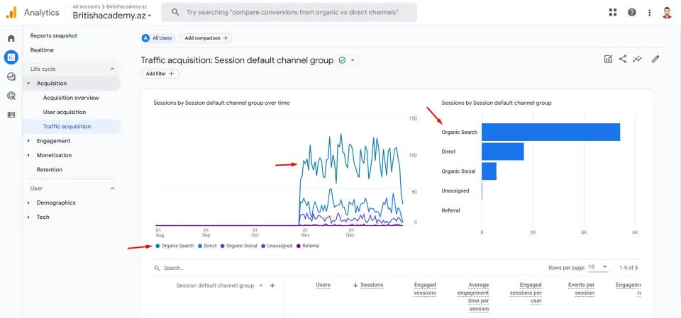 BritishAcademy.az — Google Analytics — orqanik axtarış trafikinin payı