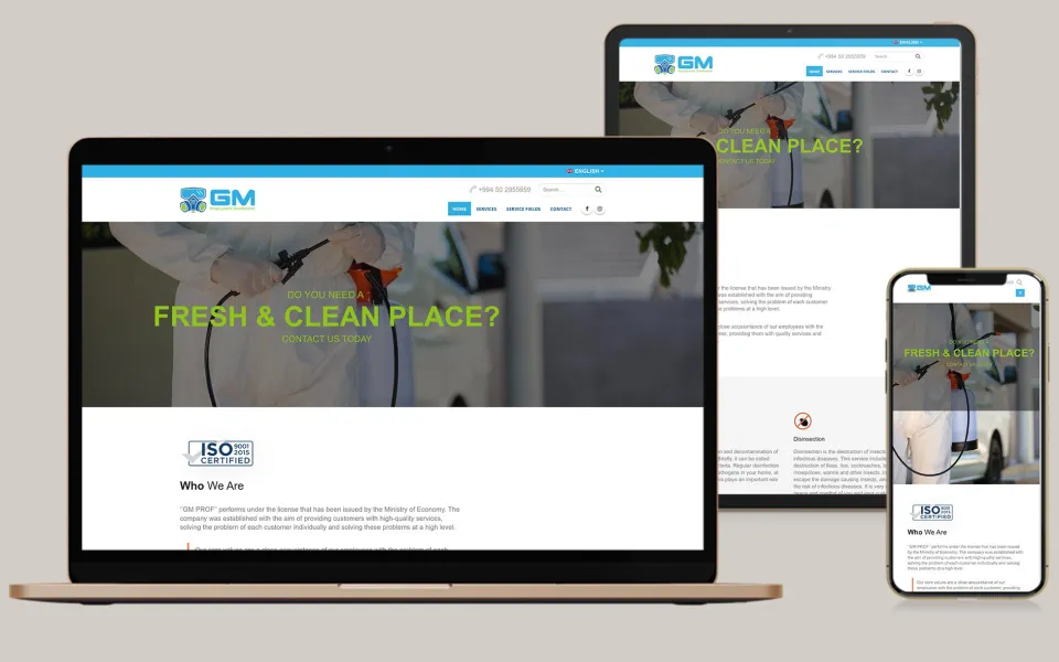 GmProf.az — Services